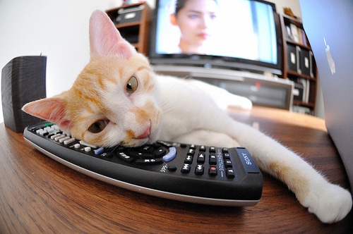 开云体育官网-当国王御驾亲征，一场火力美学的暴力解构与稳定哲学的终极论证